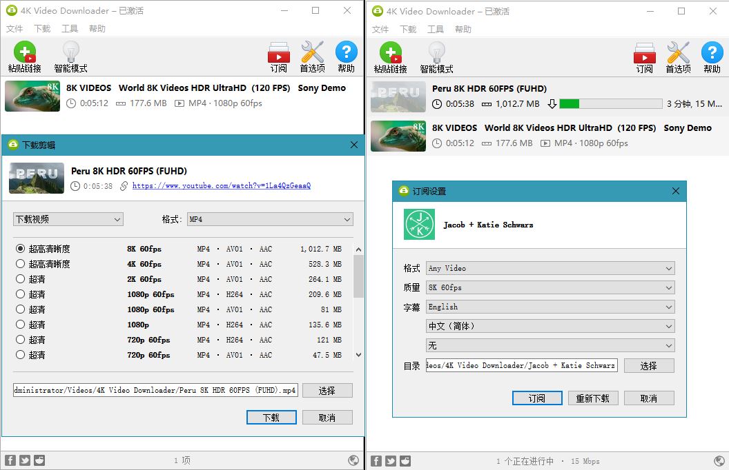 4K Video Downloader v4.20.2(4K VIDEO DOOWNLOADER)