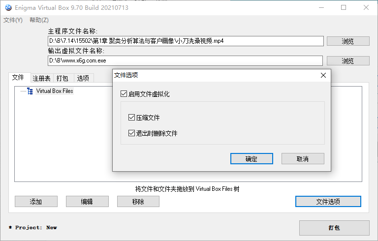 Enigma Virtual Box v10.50汉化版预览图01