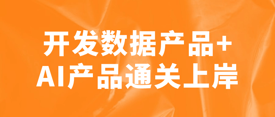 开发数据产品+AI产品通关上岸预览图01