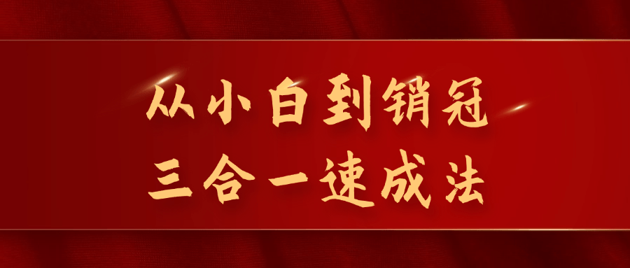 从小白到销冠三合一速成法预览图01