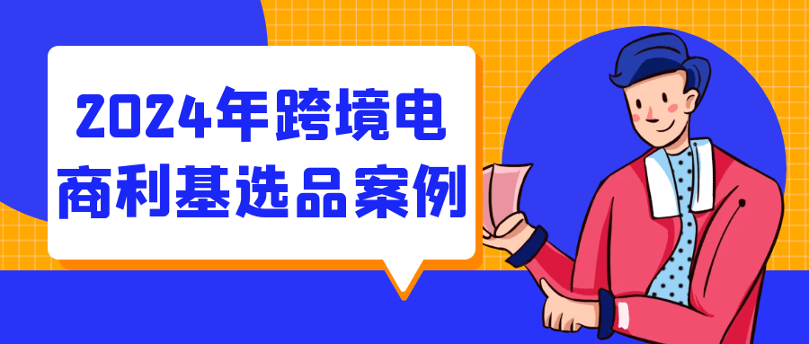 2024年跨境电商利基选品案例