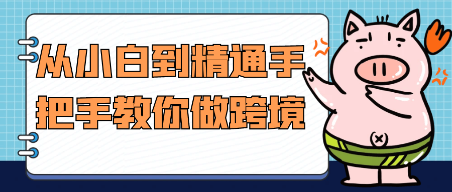 从小白到精通手把手教你做跨境预览图01