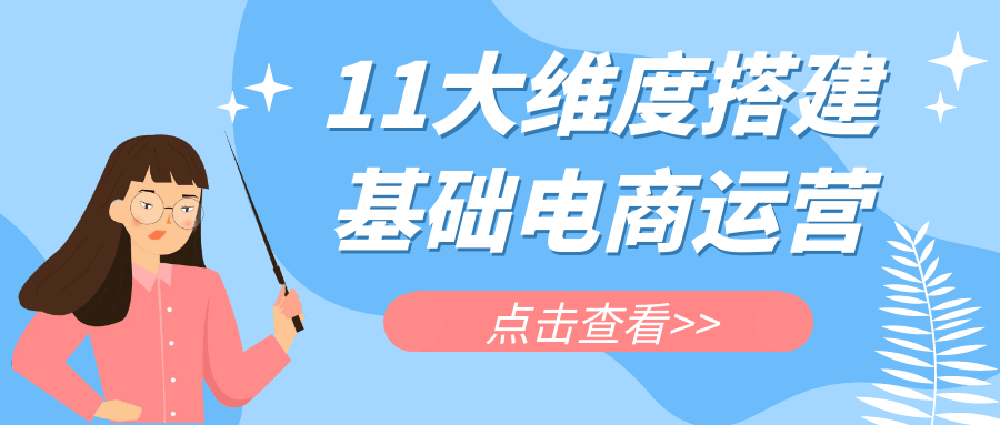 11大维度搭建基础电商运营预览图01