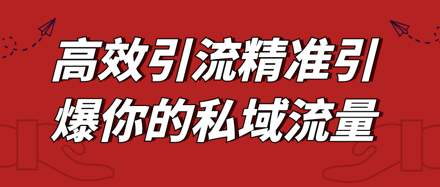 高效引流精准引爆你的私域流量预览图01